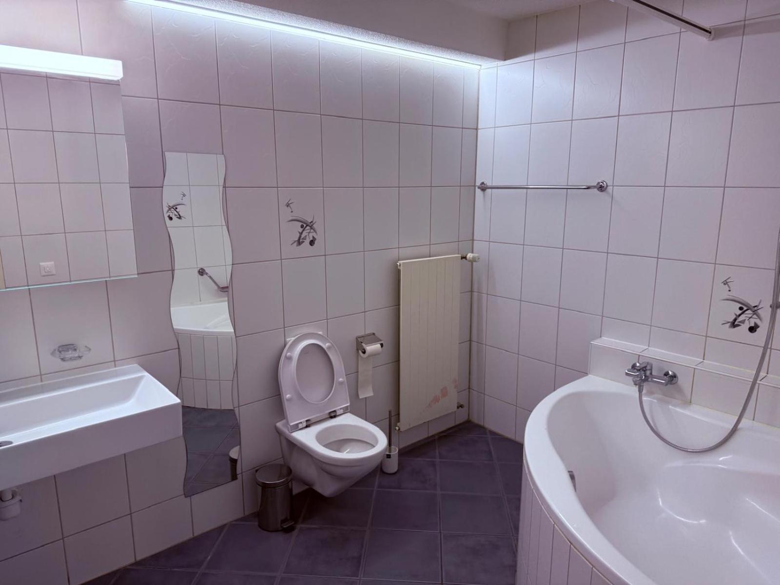 Sass Aparthotel Schonenwerd Bagian luar foto